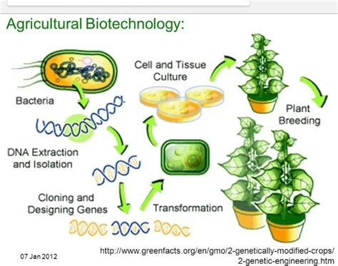Biotechnology Products In Agriculture