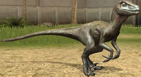 Image - Utahraptor lvl 10.jpg | Jurassic Park wiki | FANDOM powered by ...