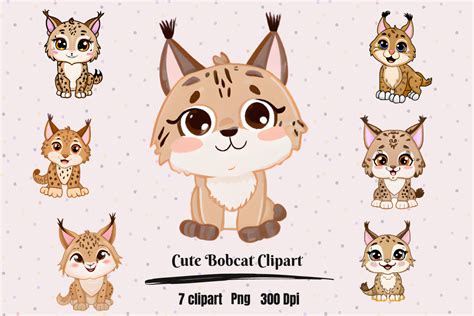 Cute Kawaii Bobcat Clipart Graphic by Hamees Store · Creative Fabrica