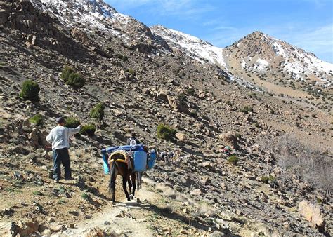 High Atlas Mountains Trek, Morocco | Audley Travel US