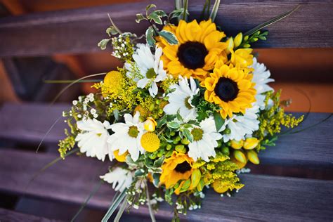 Daisy And Sunflower Wedding Bouquets / Sunflowers, daisies, baby's breath | Because maybe one ...