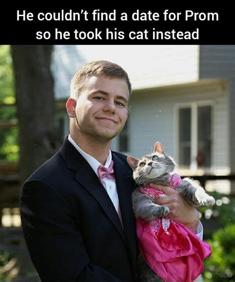 Find yourself someone who looks at you like this cat does : r/memes