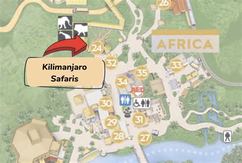 Complete Guide to Kilimanjaro Safaris - WDW Prep School