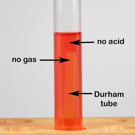 BIOL 230 Lab Manual: Phenol Red Lactose Broth