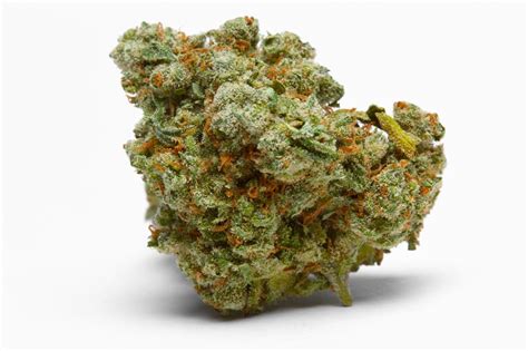 18+ Best Marijuana Strains of All Time: Indica, Sativa, Hybrid