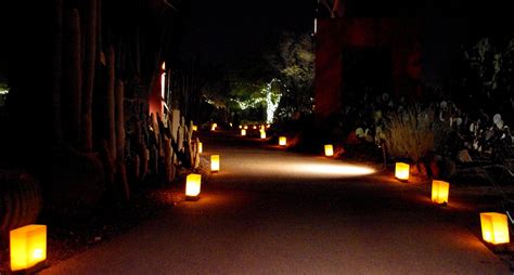 A wonderful evening strolling the garden at Los Noches de las Luminarias, at Desert Botanical ...