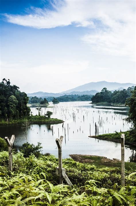 Tasik Kenyir stock image. Image of kenyir, tasik, reflections - 93015089