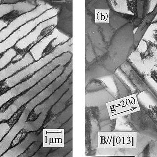 Dominant dislocation microstructure, matrix wall-like structure, in... | Download Scientific Diagram