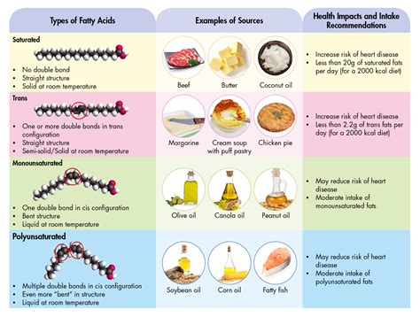 Different Types of Dietary Fats and Health