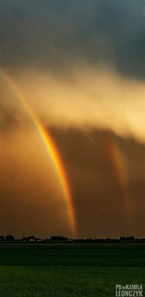 A rainbow is a meteorological phenomenon that is caused by reflection, refraction and dispersion ...