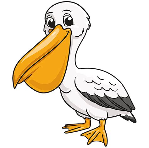 Pelican Bird Clipart For Kids