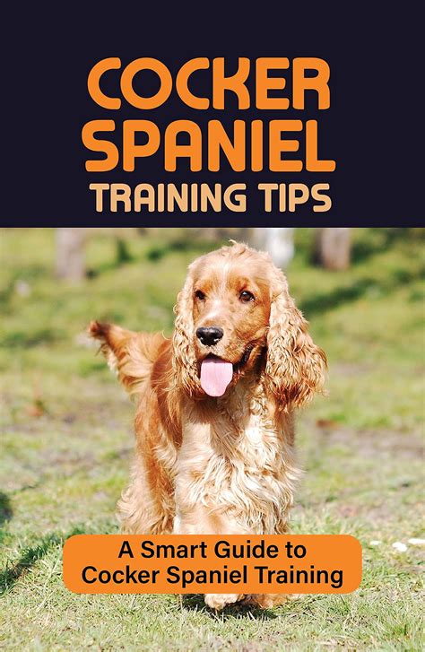 Cocker Spaniel Training Tips: A Smart Guide to Cocker Spaniel Training ...