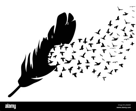 Bird Black And White Flying