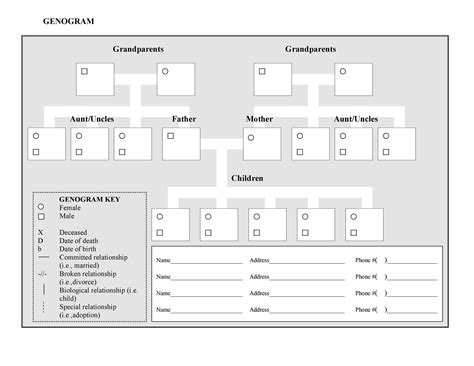 Family Genogram Template Word – Cardtemplate.my.id