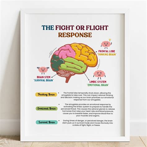 The Fight or Flight Response – Mental Health Center Kids