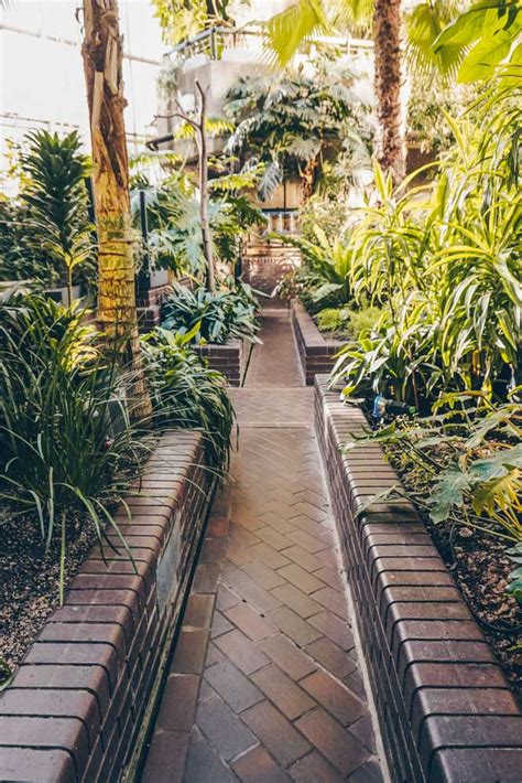 Barbican Conservatory: Planning a Visit To The Secret Botanical Garden