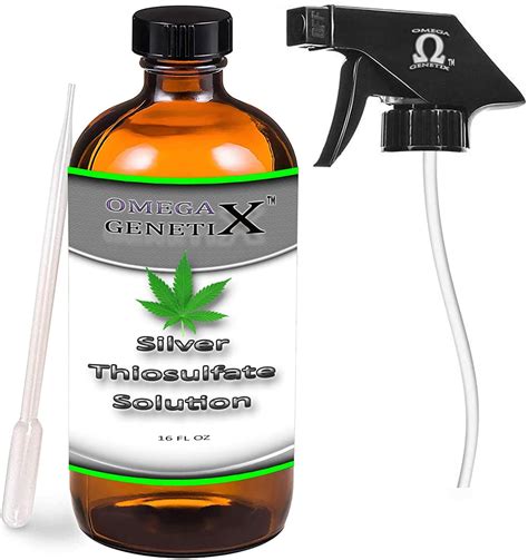 Silver Thiosulfate Solution 16 Oz Bottle - Etsy