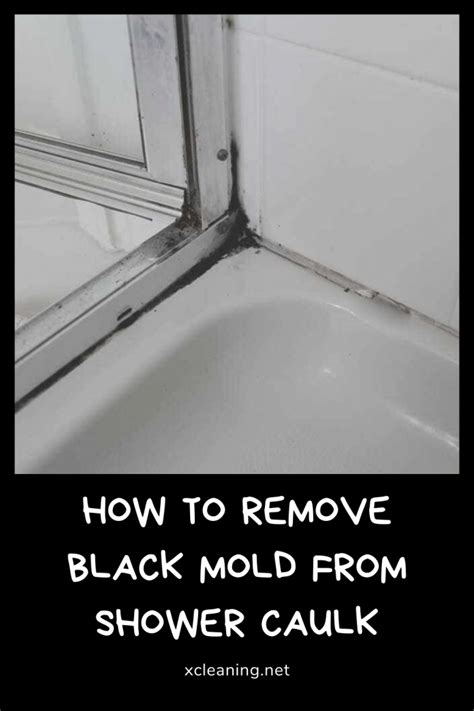 How To Remove Black Mold From Shower Caulk | xCleaning.net - Your Cleaning Tips | Remove black ...