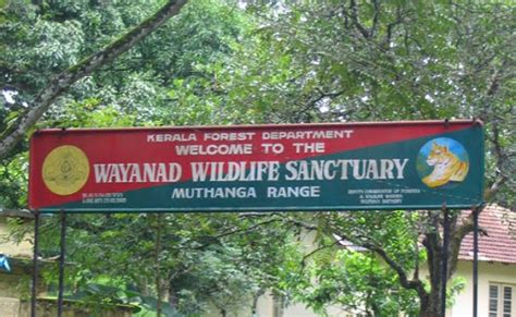 Wayanad Wildlife Sanctuary-- History, Safari, How to Reach