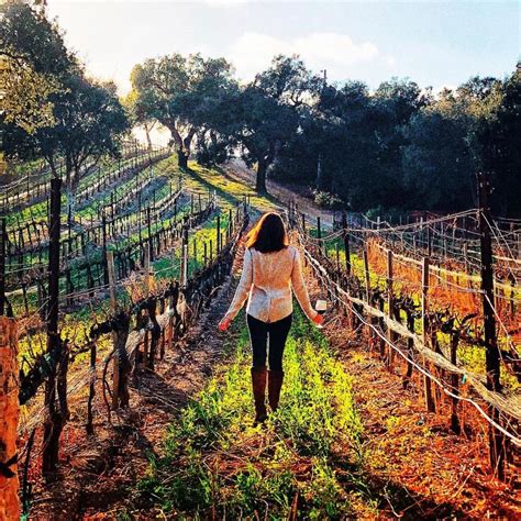 Wine + Vineyard tour? Perfection to me! Photo by @corksunleashed #RODwine #rodwineco # ...