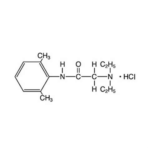 Lidocaine Hydrochloride - Lidocaine Hcl Latest Price, Manufacturers ...