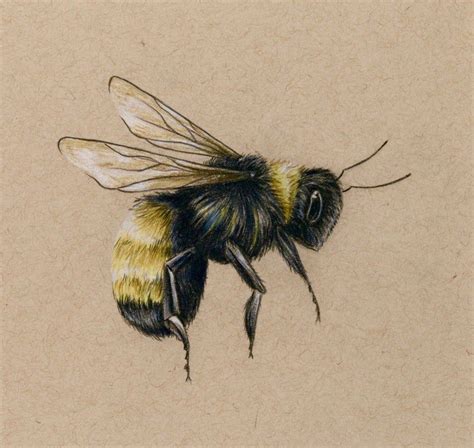 Bee art PRINT drawing - colored pencil bee flying | Bee art, Bee drawing, Bee painting