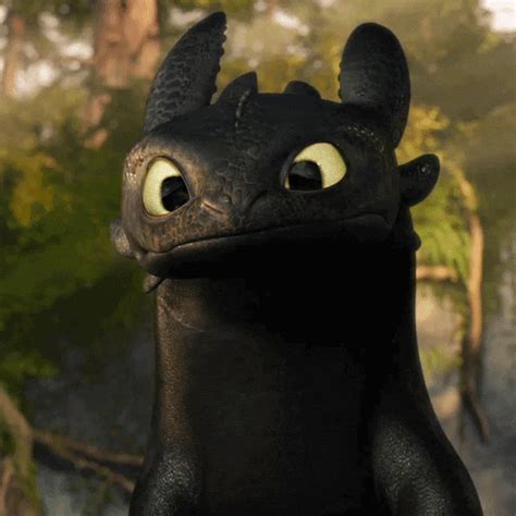 Toothless Httyd GIFs - Get the best GIF on GIPHY