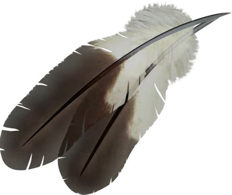 Feather PNG