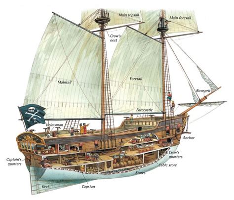 Inside a pirate ship - Q-files Encyclopedia | Old sailing ships, Pirate ship, Sailing ships