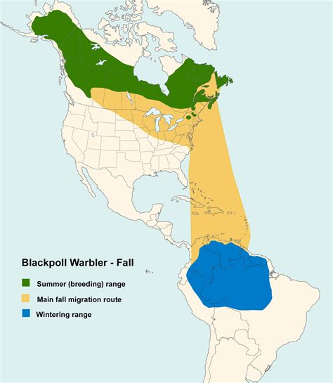 Blackpoll Warbler Migration Map