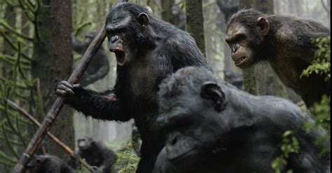 What Went on Behind the Scenes of ‘Dawn of the Planet of the Apes’? | PETA