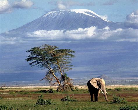 Tanzania safari destination travel deals Climbing Kilimanjaro ...