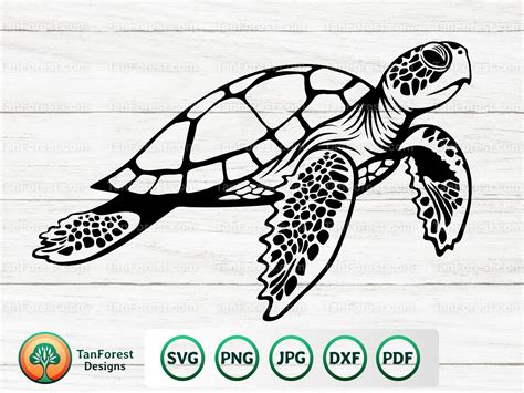 Sea Turtle SVG Outline Cut File. Turtle Svg Tortoise Svg - Etsy