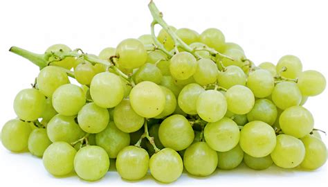 Green Muscat Grapes Information, Recipes and Facts