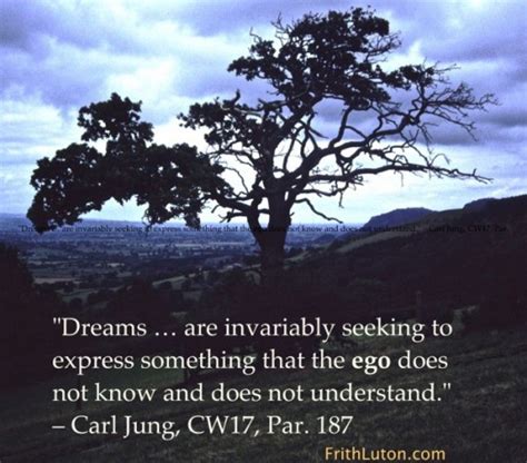 Carl Jung Quotes On Dreams. QuotesGram