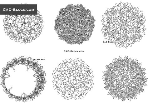 Trees In Plan View, Vegetation Cad blocks download free, AutoCAD models