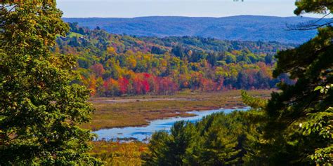 Your Berkshires Fall Foliage Guide | Stone House Properties