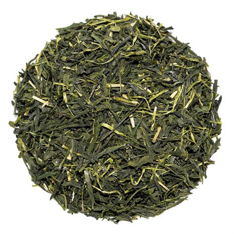 Kirishima Sencha | Japanese Green Tea | Curious Tea