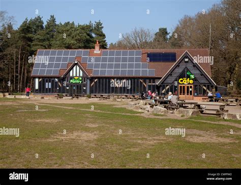 High Lodge, Thetford Forest Park, owned by the Forestry Commission, Thetford, Norfolk England UK ...