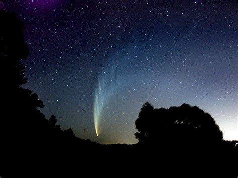 Spaceweather.com: Comet McNaught (C/2006 P1)