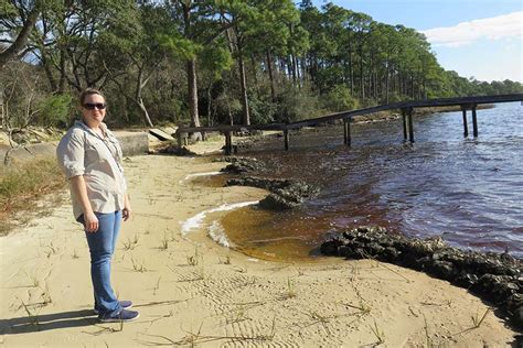 Bayou Grande (Escambia County) | Florida Living Shorelines