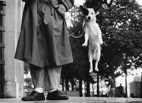 Elliott Erwitt, France, Paris (Dog jumping), 1989 | Print Sales Gallery ...