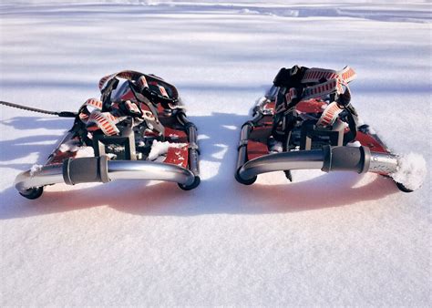 Kids can go on a snowshoe adventure at our Lake Branch | Mentor Public ...