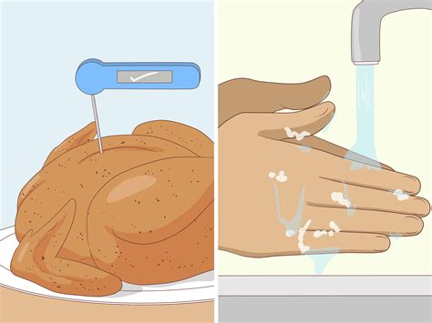 Effective Ways to Diagnose and Treat a Campylobacter Infection