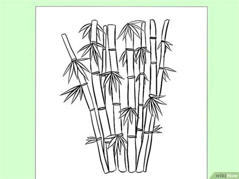 How To Draw Bamboo On Wall at How To Draw