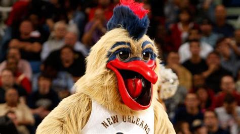 New Orleans Pelicans to operate on mascot's beak