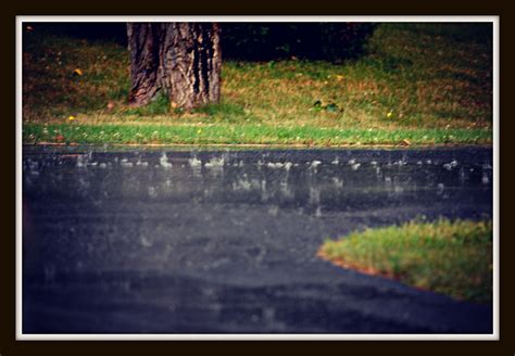 Pitter Patter of rain. Photographed in Tide Head, New Brunswick ...