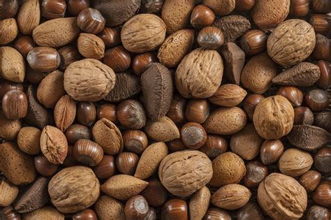 How Do You Treat Tree Nut Allergy? | Food Allergies Atlanta