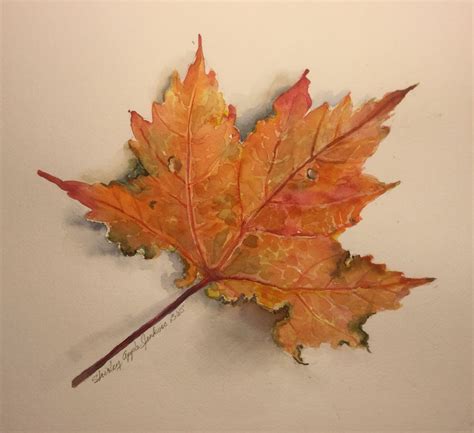 Maple leaf painted in watercolor by Shirley Apple Jenkins | Maple leaf, Watercolor, Foliage