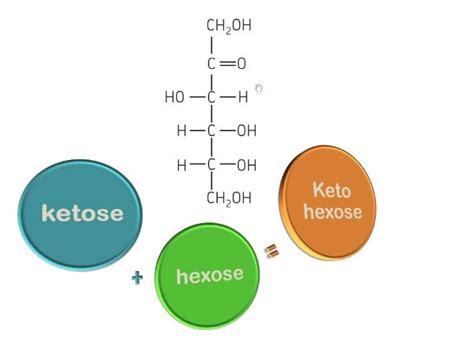 Carbohydrates - Monosaccharides